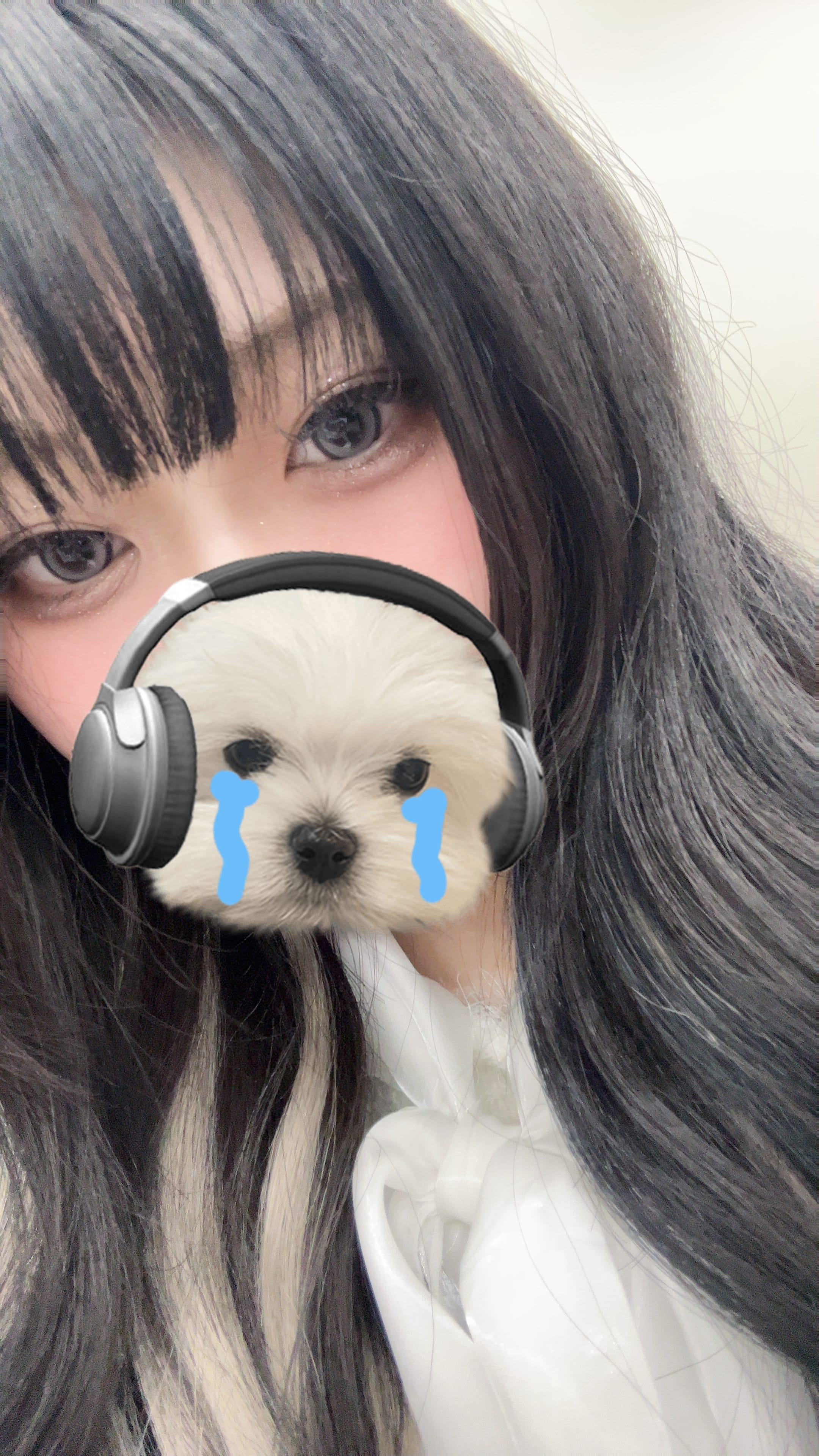 「記念日！」03/10(火) 07:37 | 広瀬　るかの写メ日記