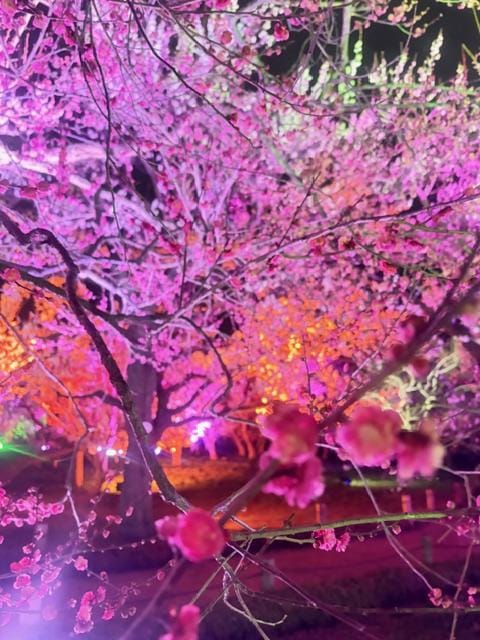 本日新小岩出勤です！