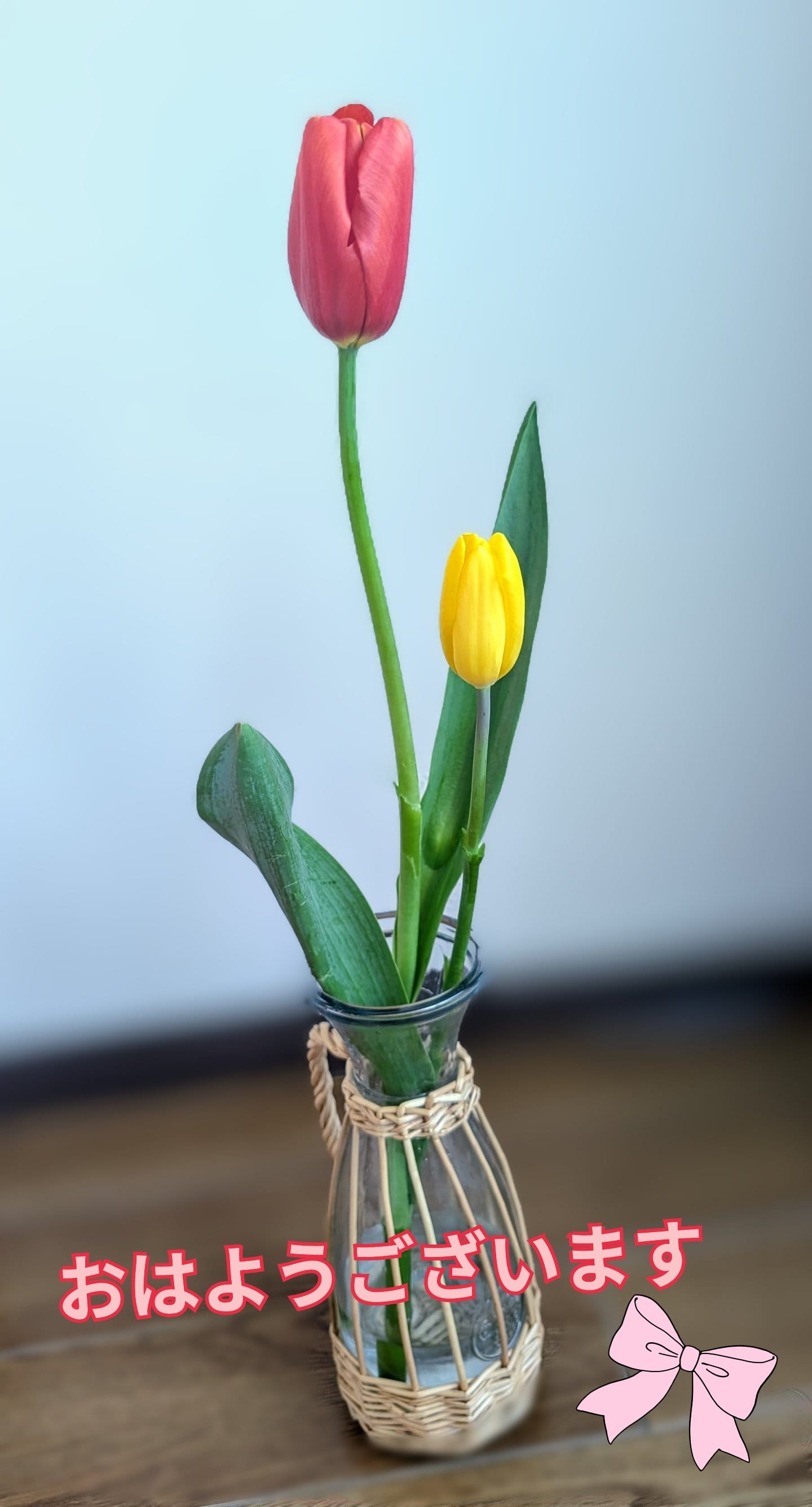 おはようございます☀︎( ˶˙ᵕ˙˶ )☀︎