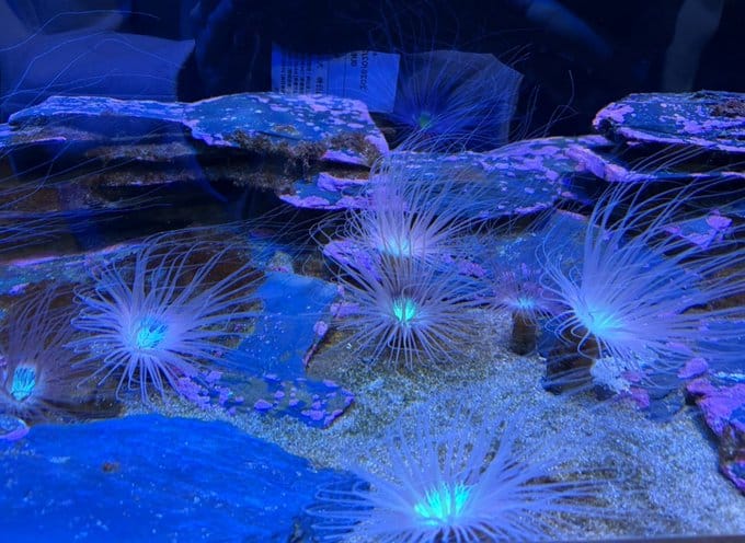 「♡白根♡」03/15(日) 09:51 | 白根の写メ