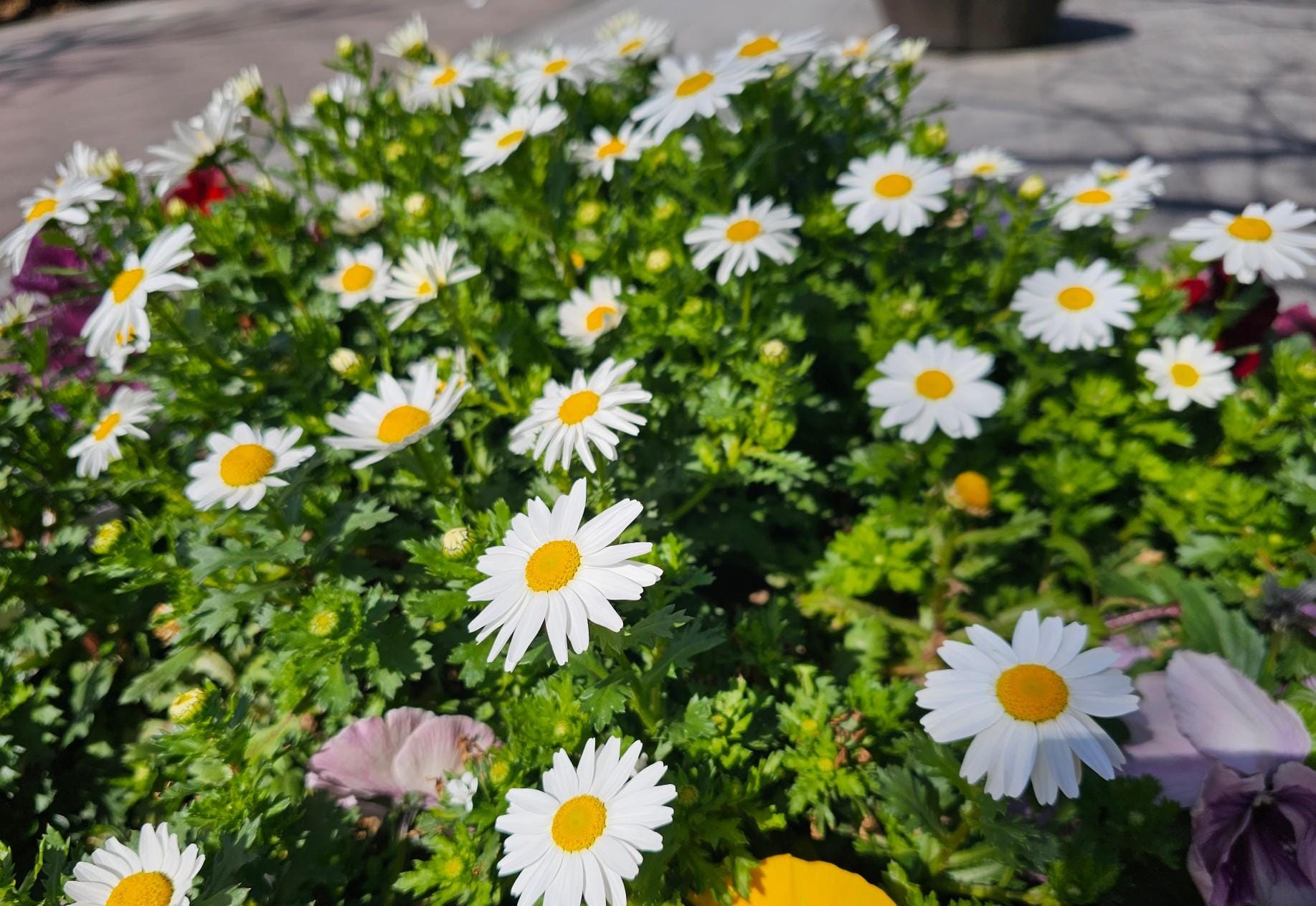 おはよう★野中