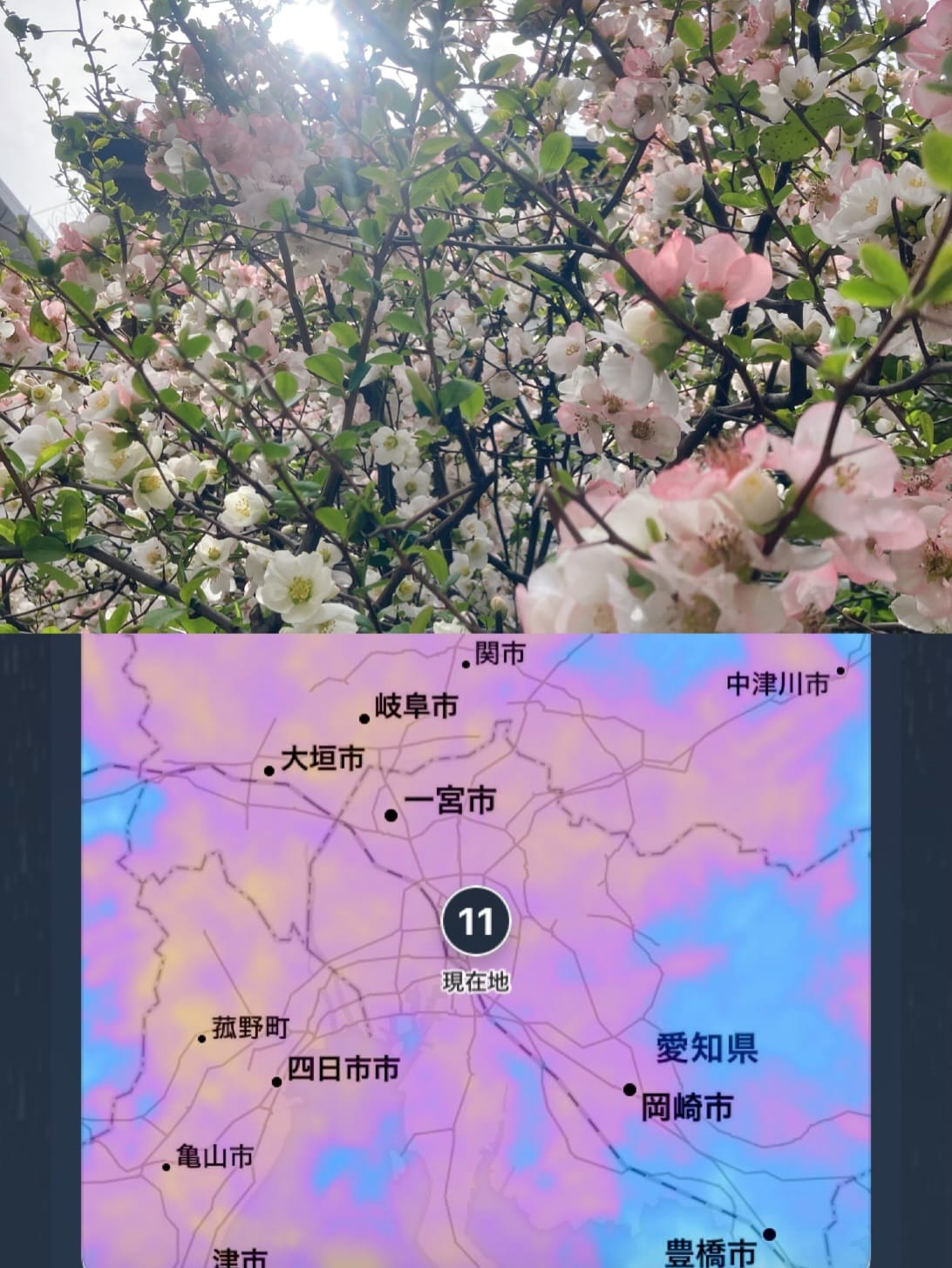 「ｒａｉｎｙ ｎｉｇｈｔ」03/18(水) 19:18 | あいなの写メ