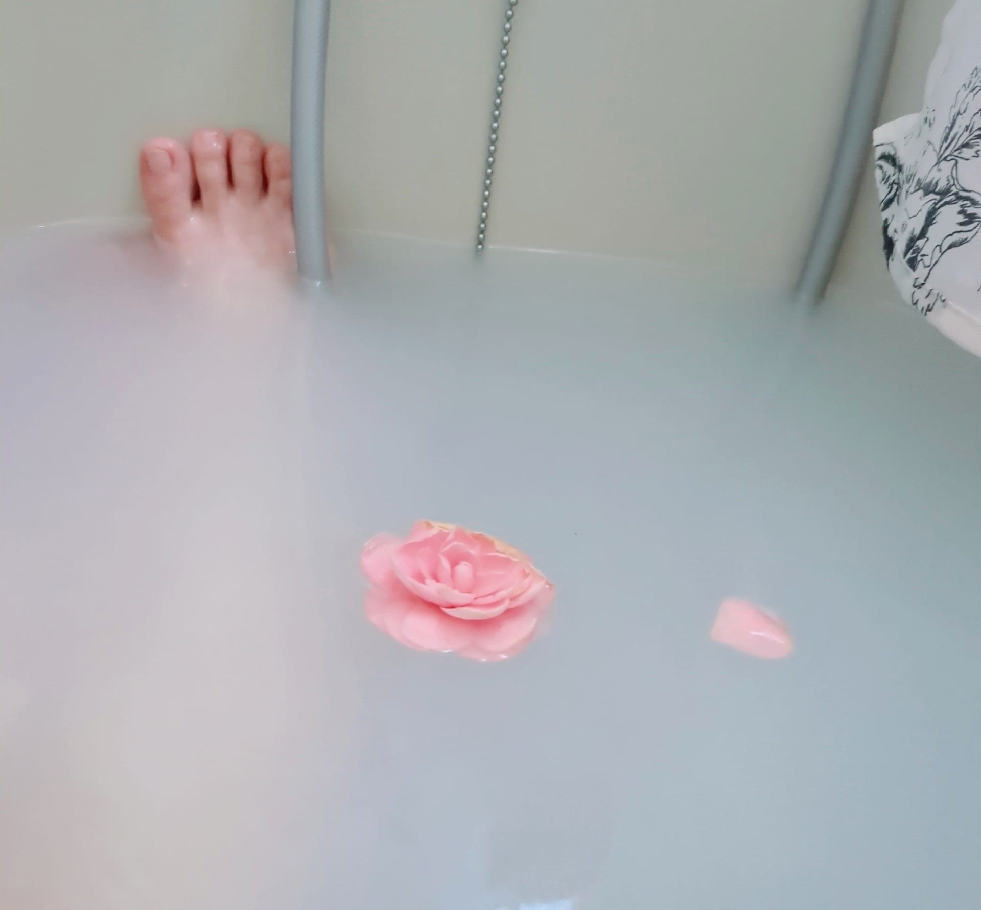 「ささやかな癒し」03/25(水) 18:45 | こふゆの写メ