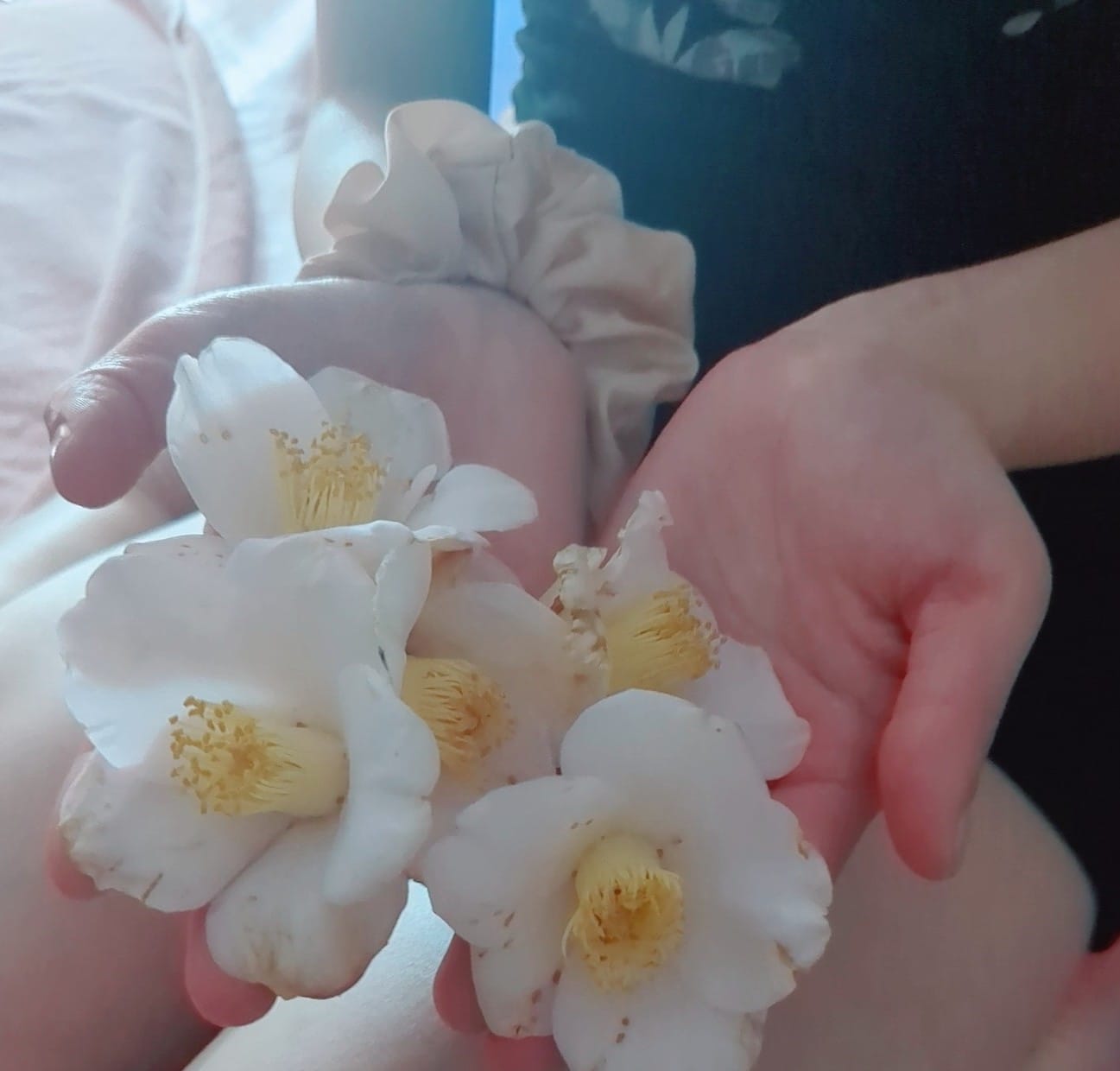 「極液デビュー」03/28(土) 19:29 | こふゆの写メ