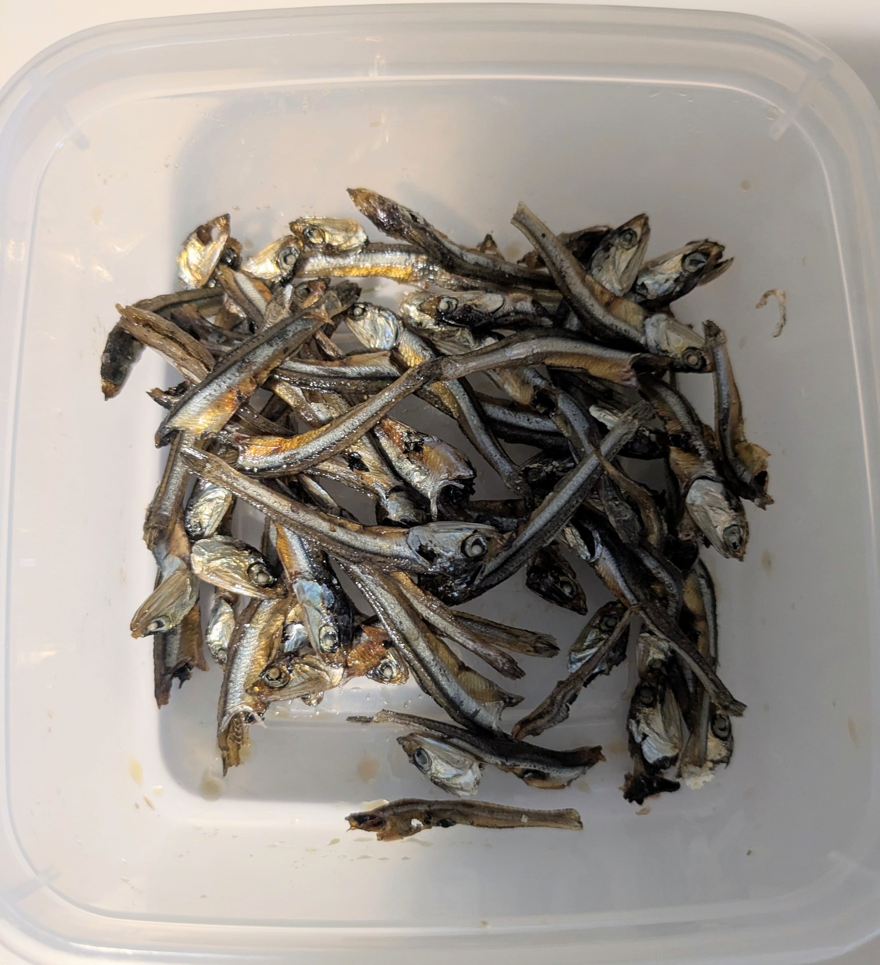 「得意なのは」03/31(火) 18:49 | こふゆの写メ