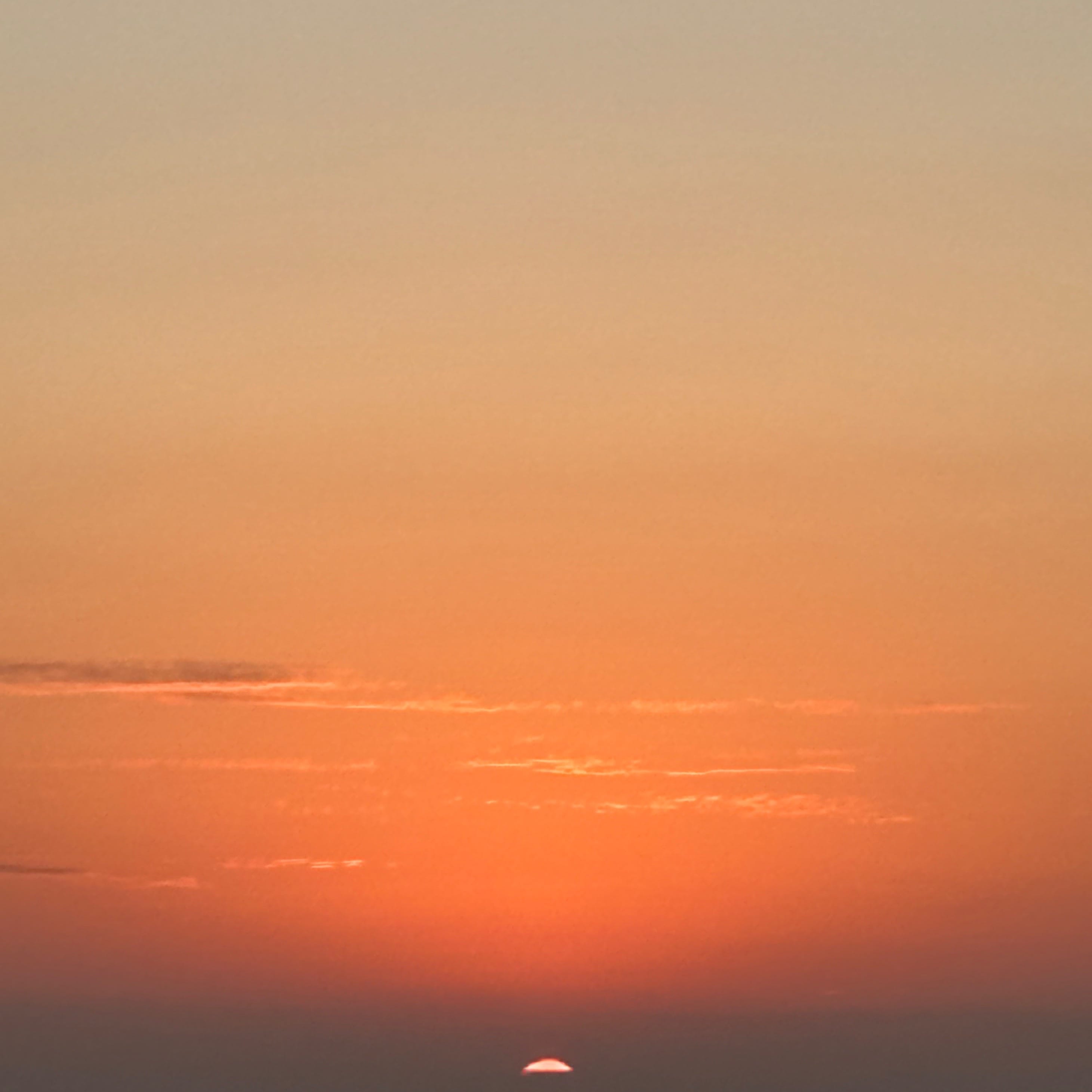 「31日お礼」04/01(水) 02:15 | みずきの写メ