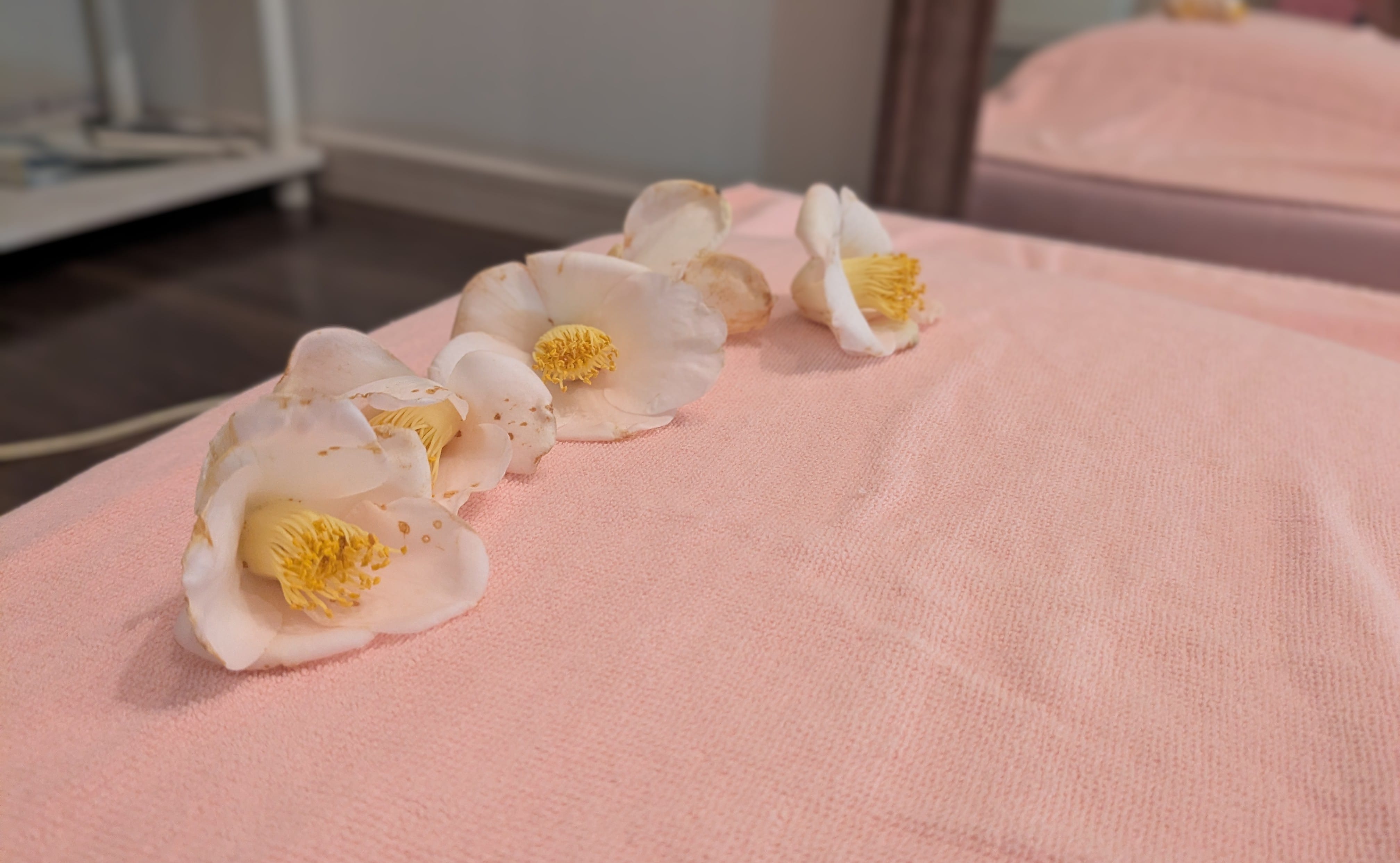 「出勤しました♪」04/03(金) 12:30 | こふゆの写メ