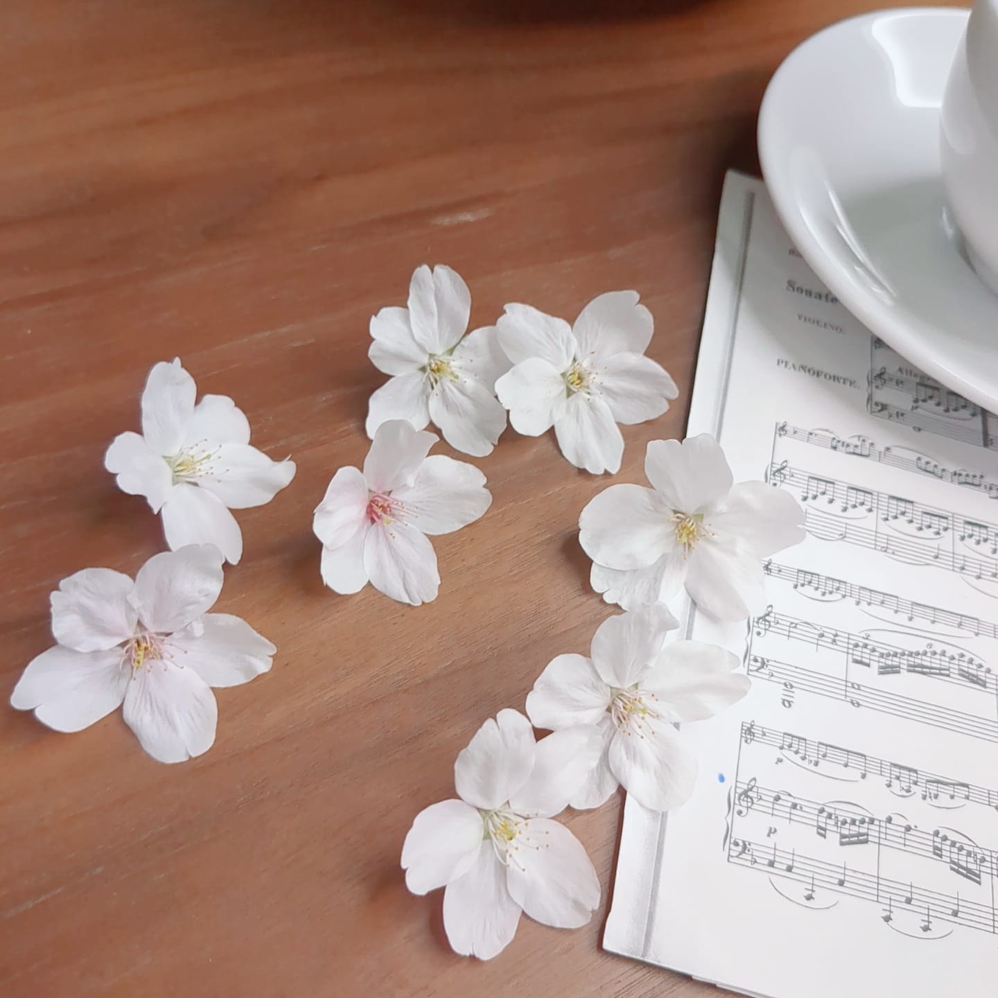 「弾いてます」04/04(土) 16:30 | こふゆの写メ