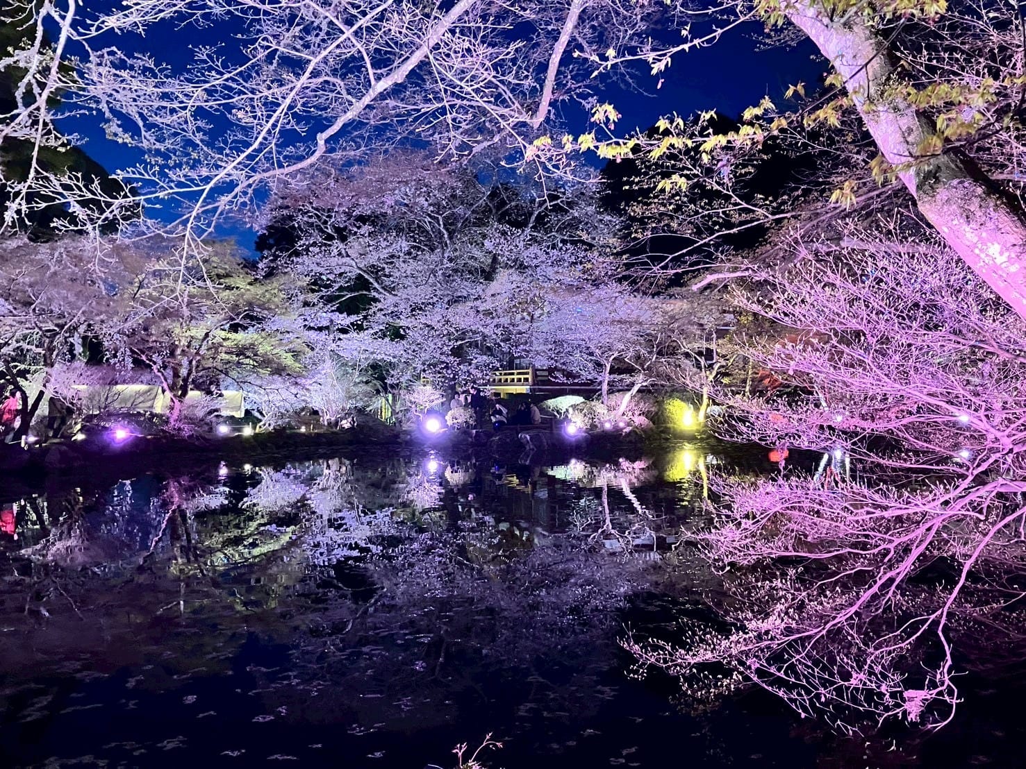 花園 もえか