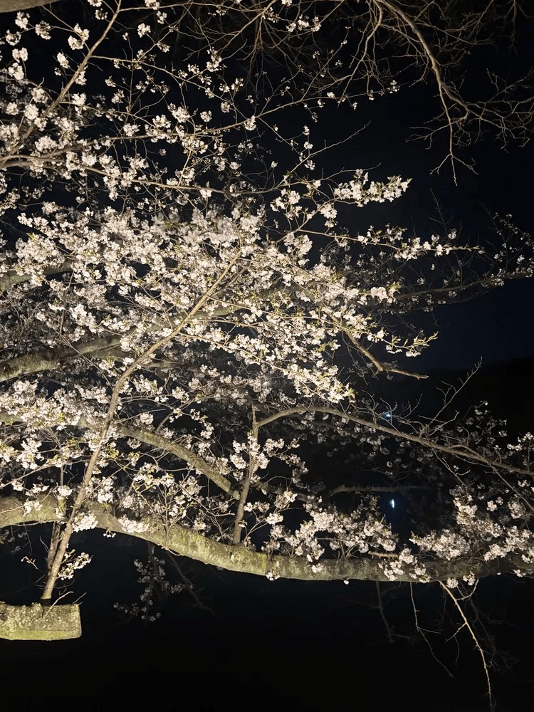 みく
