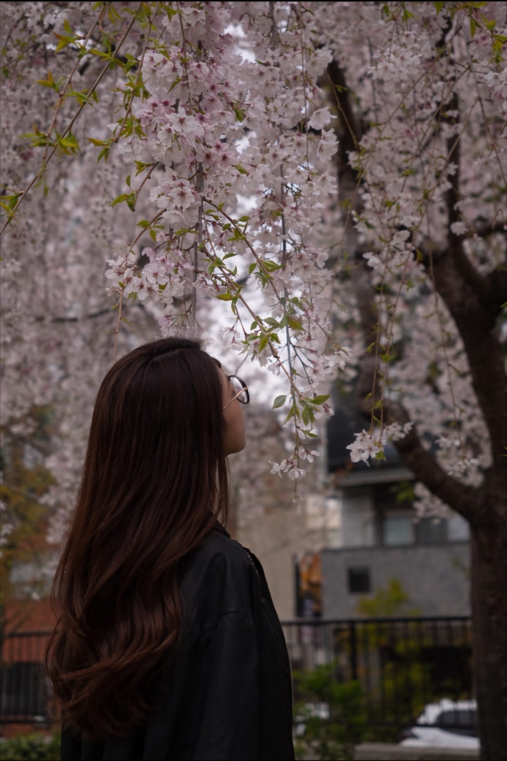 れん「またまた！」04/06(月) 13:38 | れんの写メ