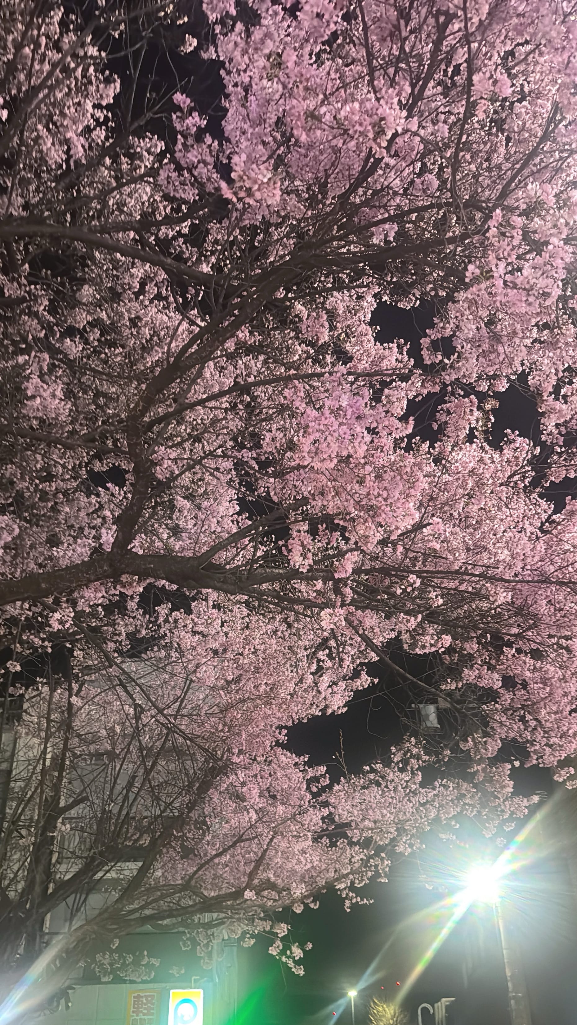 「♡」04/07(火) 15:58 | ゆりあの写メ