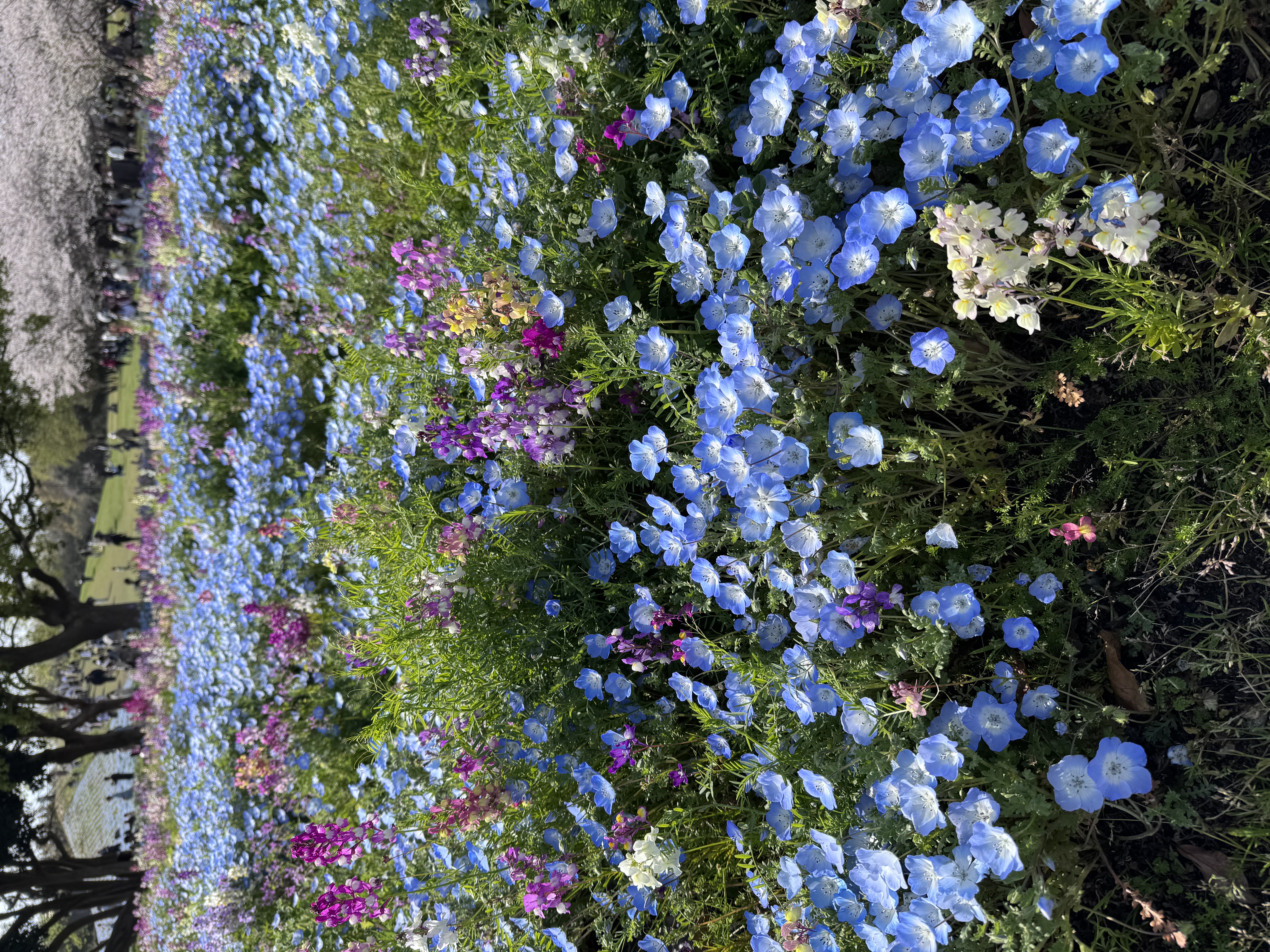 「休みの日に♡」04/08(水) 00:16 | さらの写メ日記