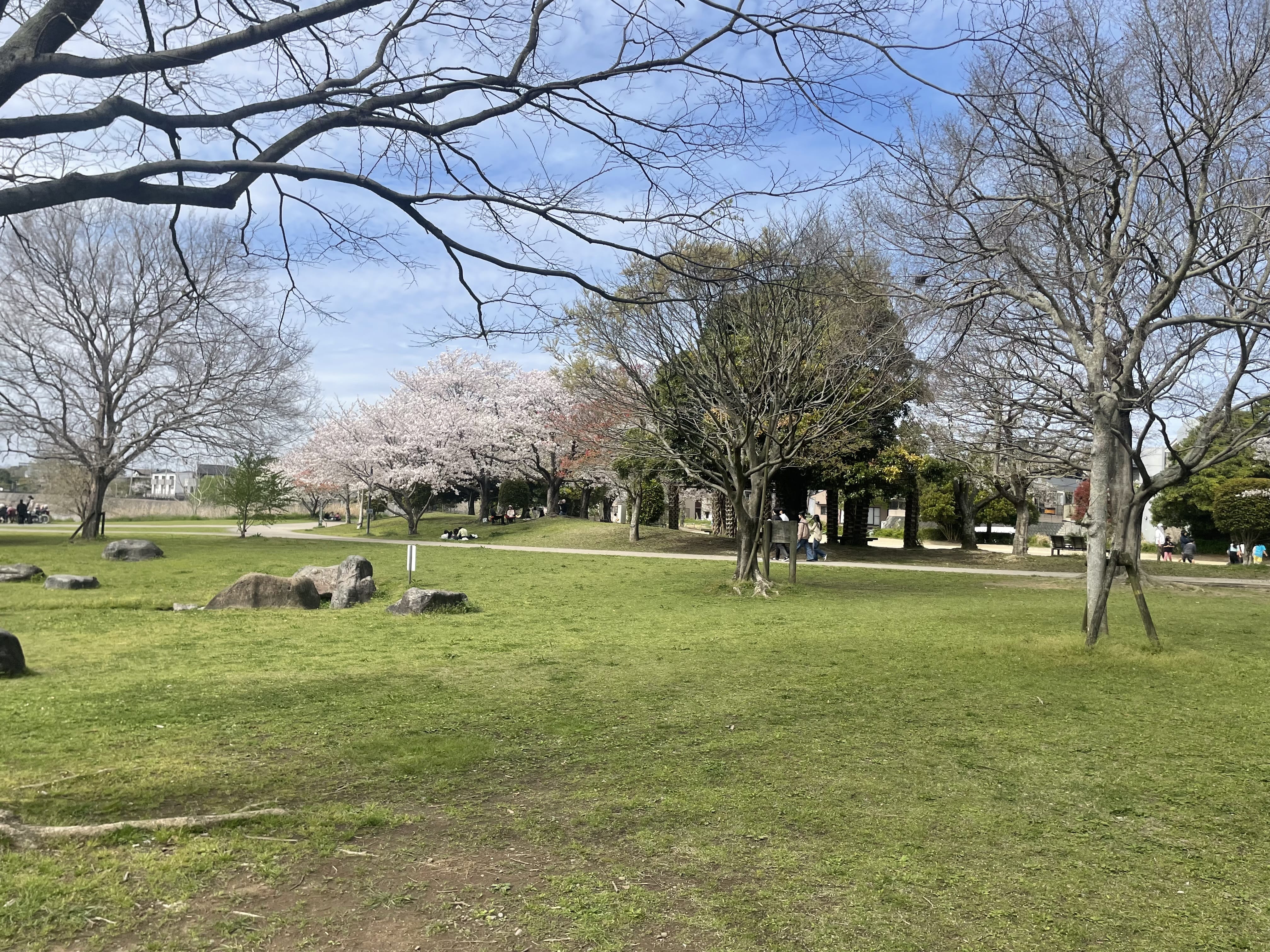 「スイスイ〜」04/08(水) 07:06 | しおんの写メ