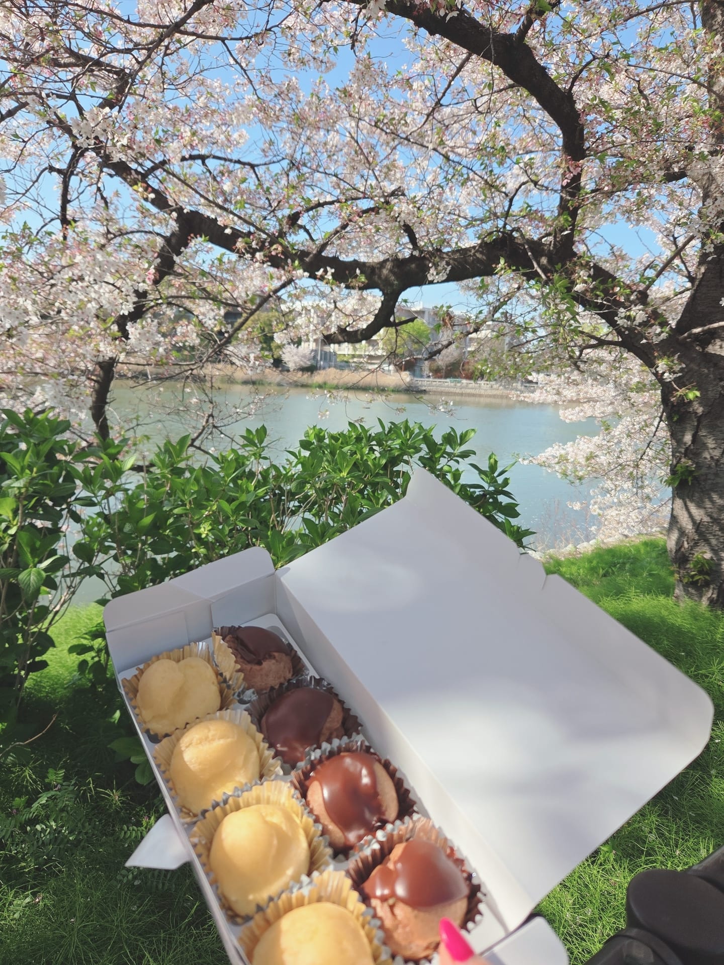 「お花見」04/08(水) 15:33 | 飛鳥の写メ
