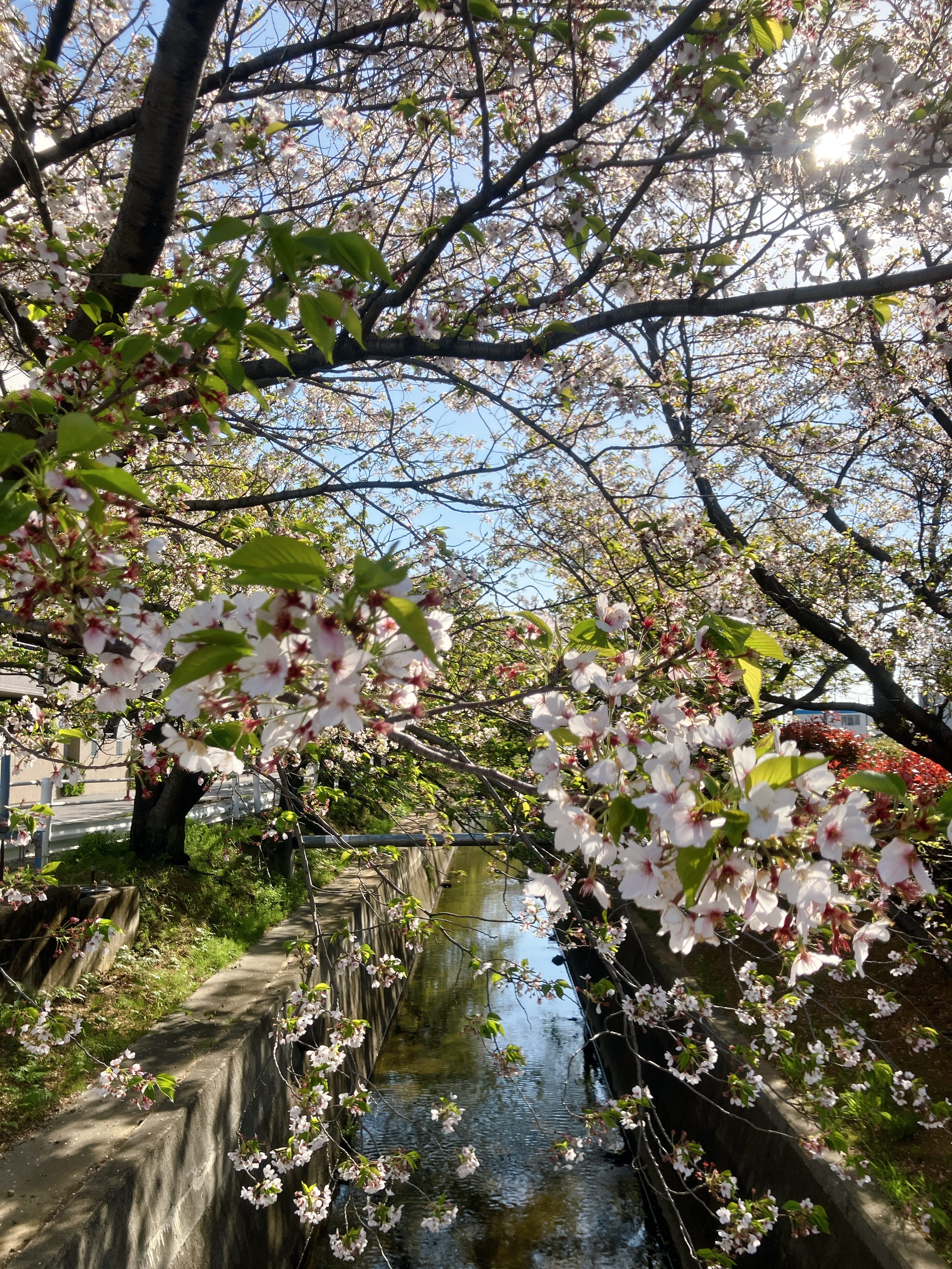 「Ｔｈａｎｋ ｙｏｕ」04/10(金) 00:26 | あいなの写メ