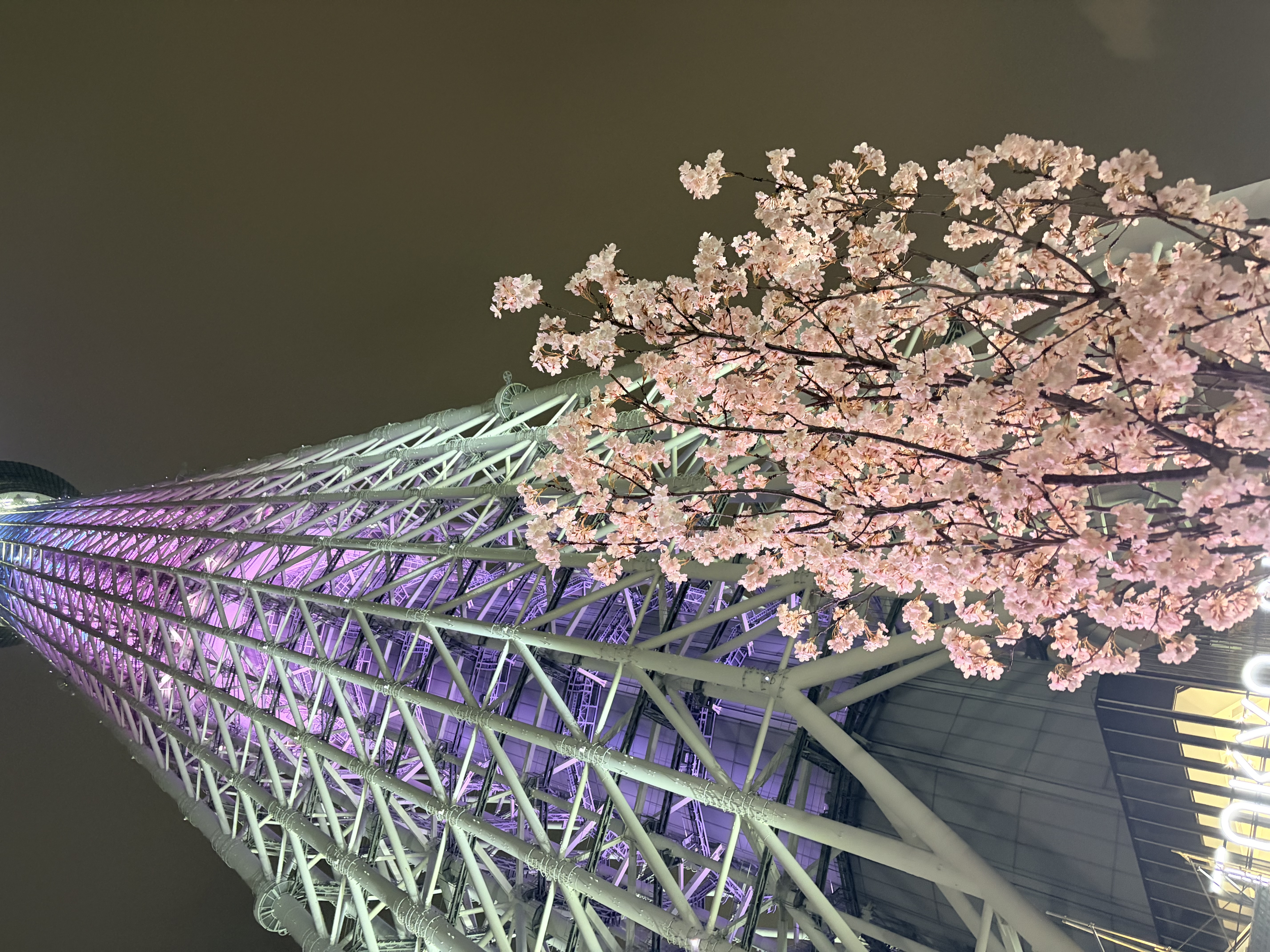 「本日満枠ありがとう♡次回日曜日♡」04/11(土) 09:58 | 朝比奈なおの写メ