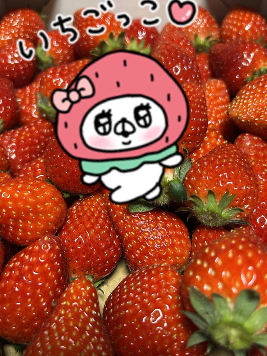 「苺」04/12(日) 20:25 | 飛鳥の写メ