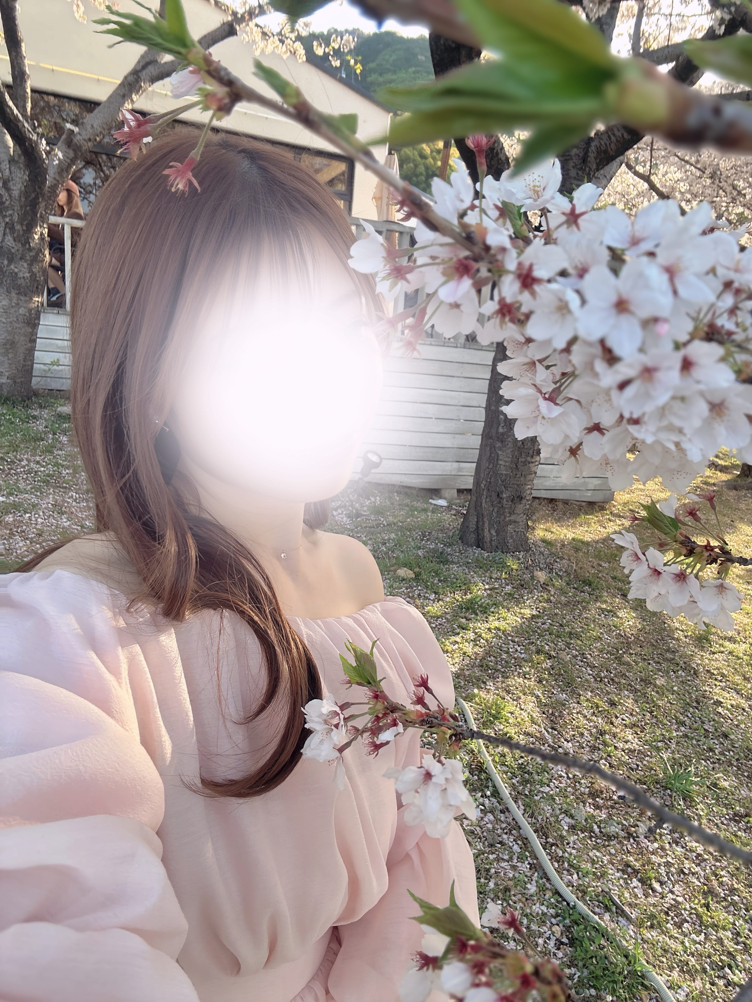 「桜とこはくで誘惑♡」04/13(月) 17:16 | 桜庭こはくの写メ