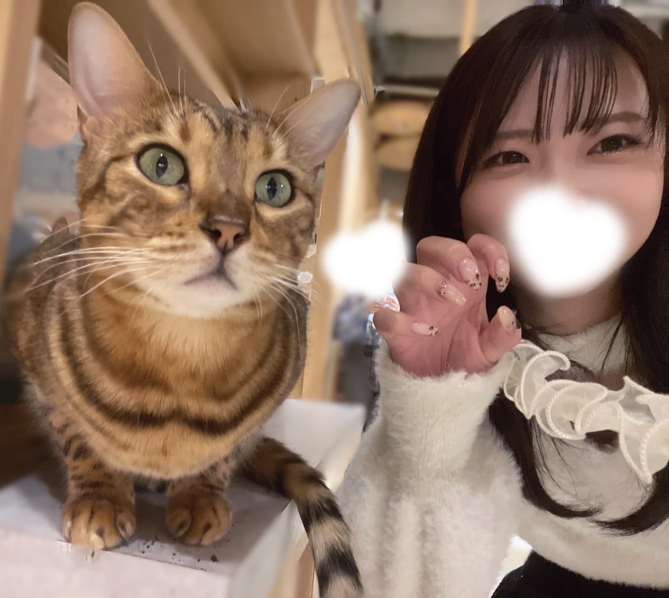 プリンセスメロン「猫カフェいってきたよん」04/13(月) 23:25 | プリンセスメロンの写メ