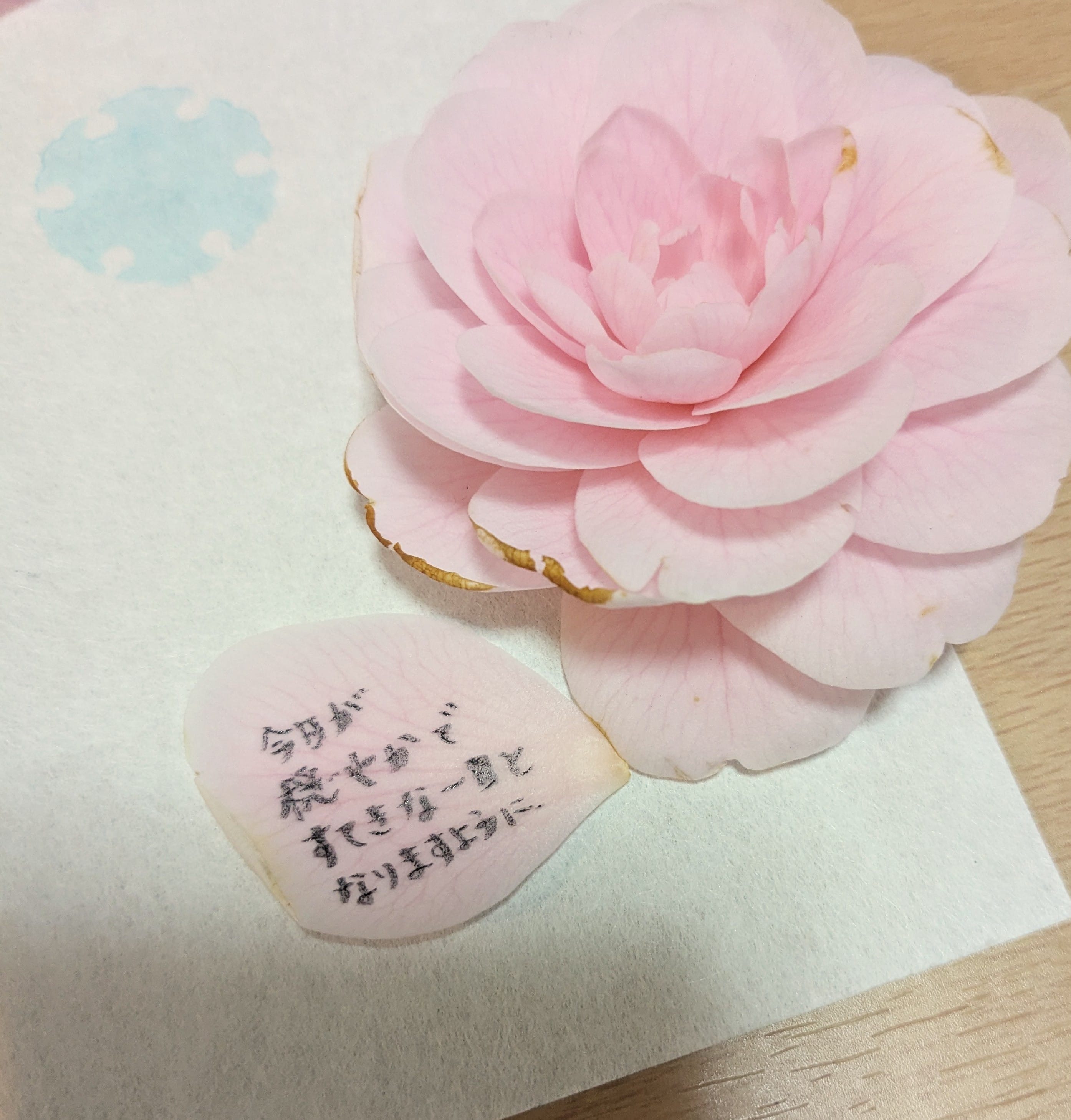 「アンケート ありがとう」04/13(月) 23:43 | こふゆの写メ