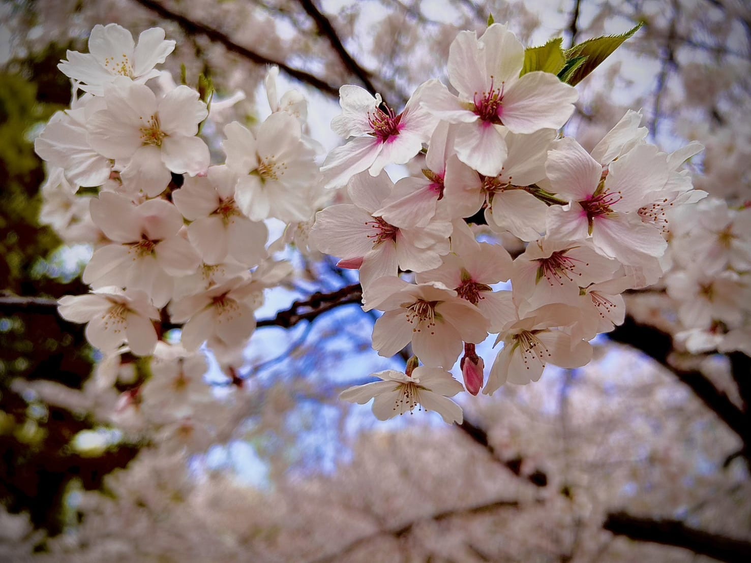 「こんにちは」04/14(火) 15:29 | 北川ゆいの写メ