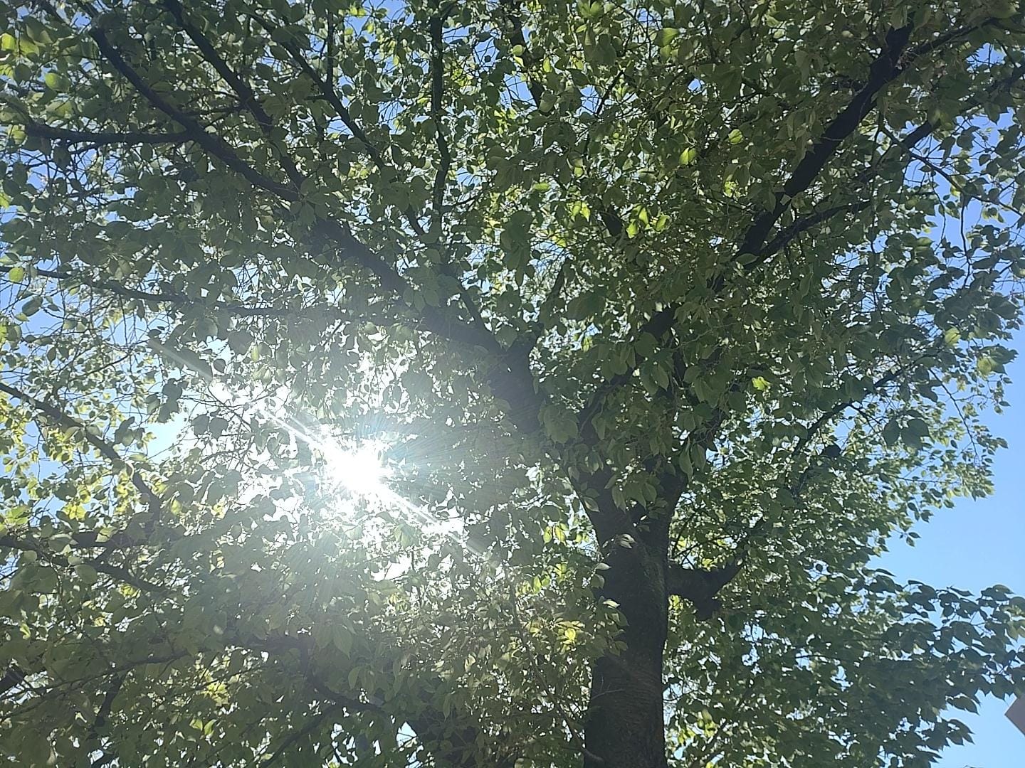 Honoka（ほのか）「おはようございます(^^)」04/16(木) 10:01 | Honoka（ほのか）の写メ