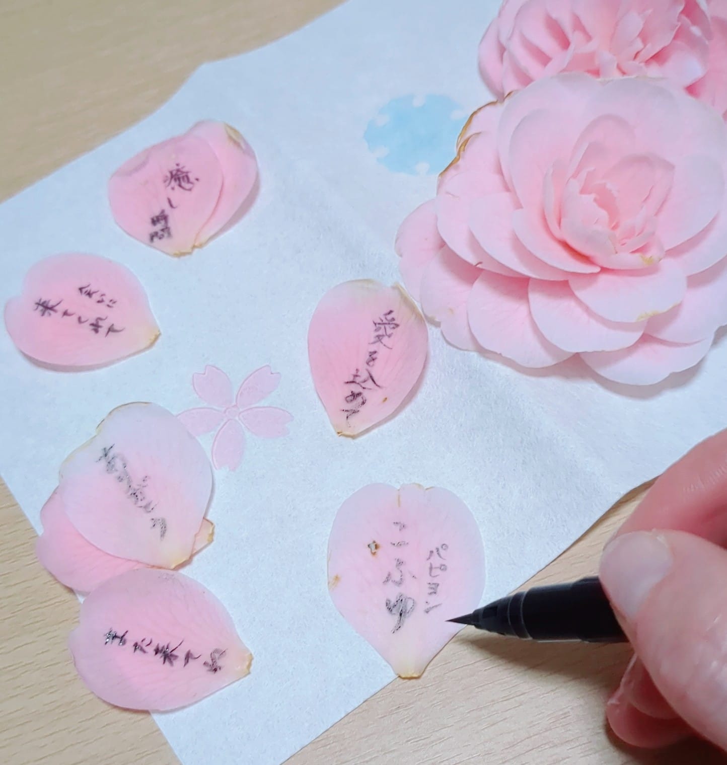 「名前の由来は」04/18(土) 18:06 | こふゆの写メ