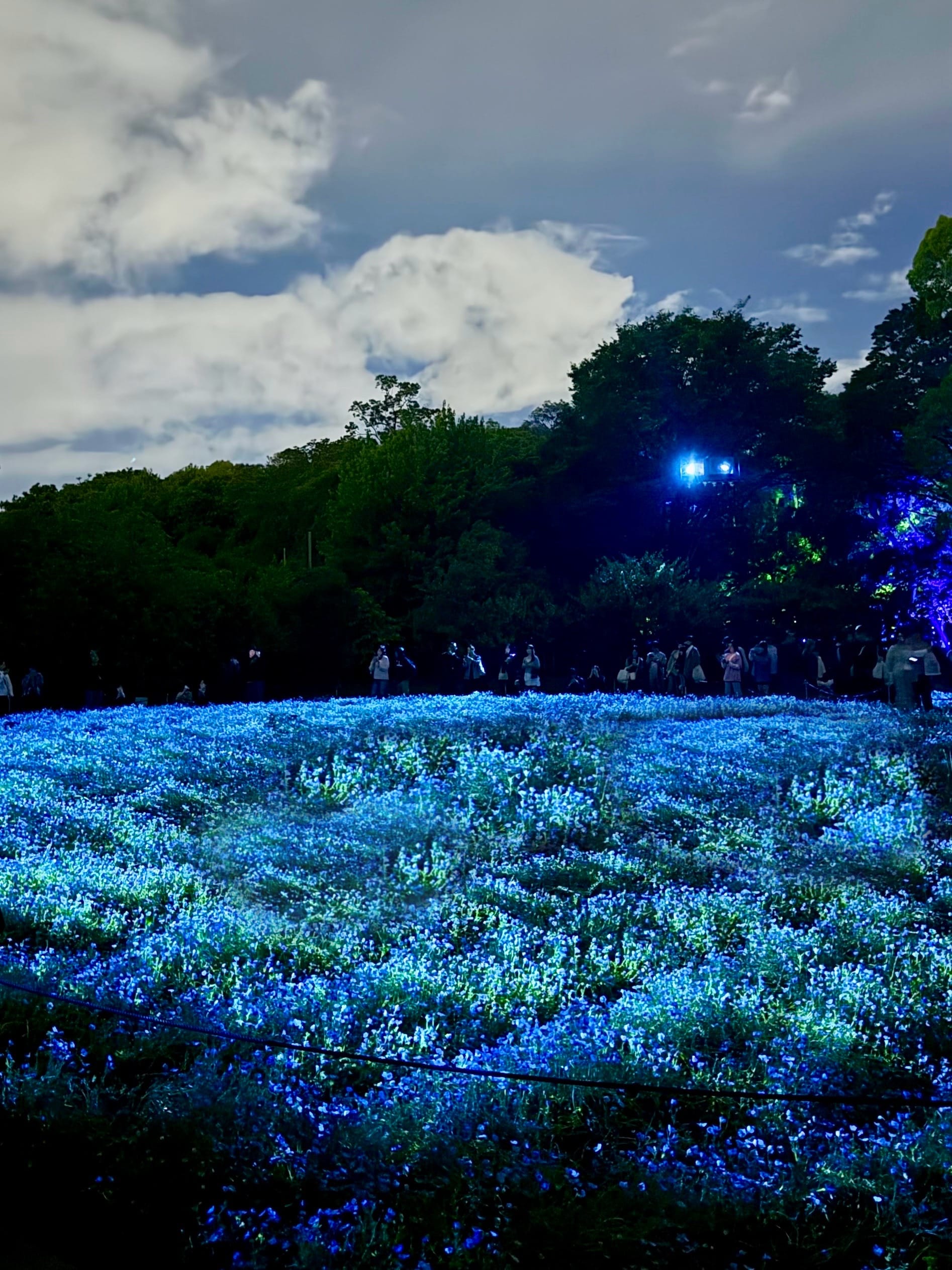 「明日は12:00～♡」05/06(水) 22:21 | 桜庭こはくの写メ