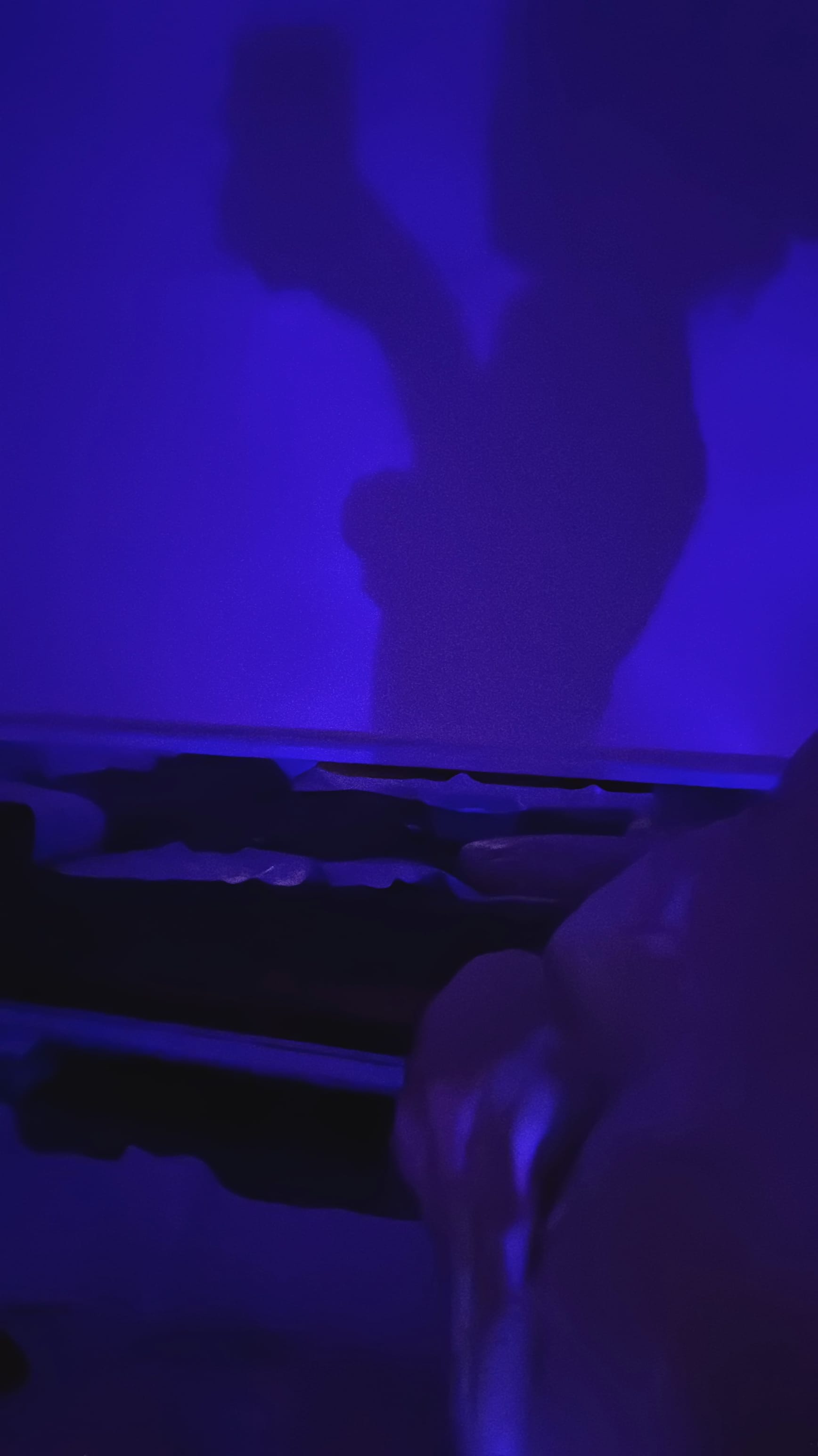 あかり