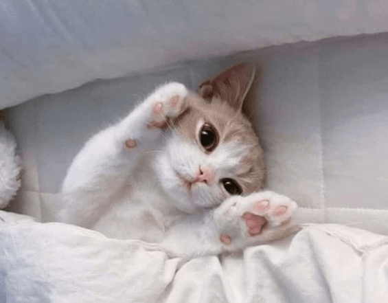 ありがとうの気持ち