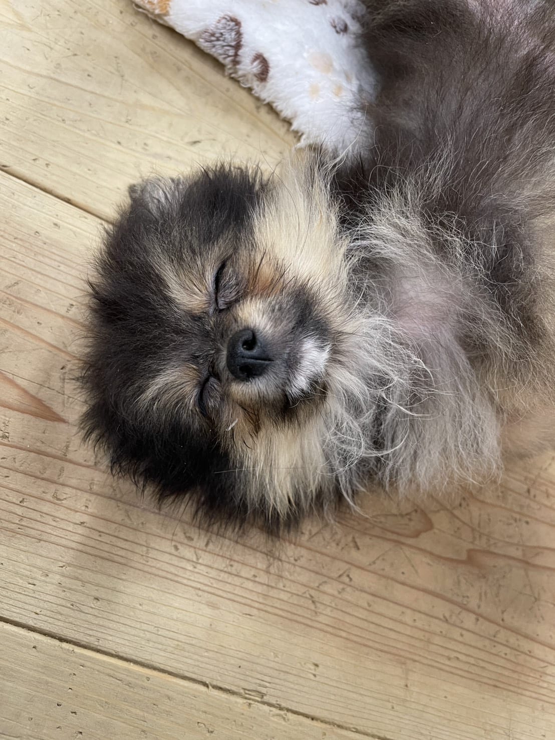「本日出勤します」09/05(土) 17:03 | 奥菜　めぐみの写メ