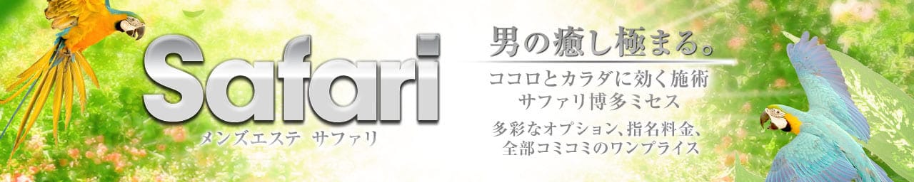 サファリ博多 Safari hakata