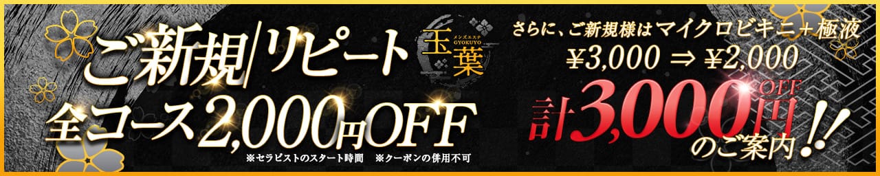 ー玉葉-タイ伝統の奥義ー - 日本橋・千日前