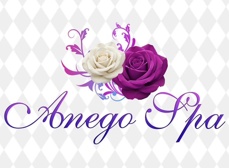 Anego Spa（アネゴスパ） - 本町・堺筋本町