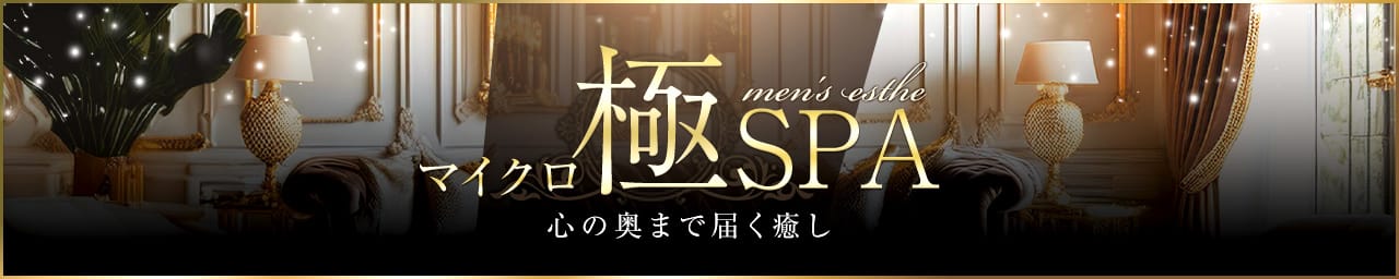 マイクロ極SPA - 新橋・汐留