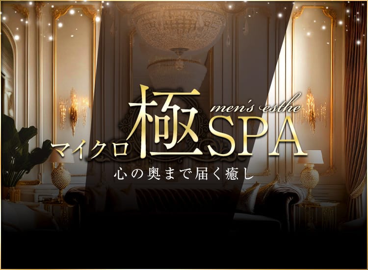 マイクロ極SPA - 新橋・汐留